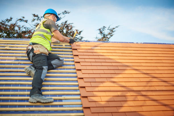 Best Roof Maintenance and Cleaning  in Amity, OR